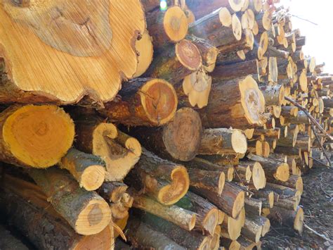 11月12月包装纸价格将高位震荡、缓慢上行